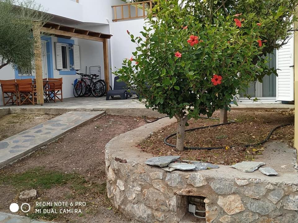 Alkioni Sea View Apartment Káto Zákros Εξωτερικό φωτογραφία