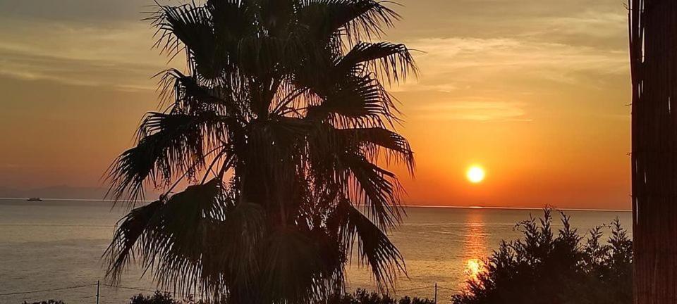 Alkioni Sea View Apartment Káto Zákros Εξωτερικό φωτογραφία