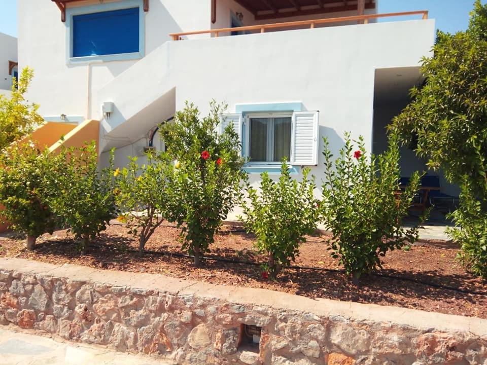 Alkioni Sea View Apartment Káto Zákros Εξωτερικό φωτογραφία