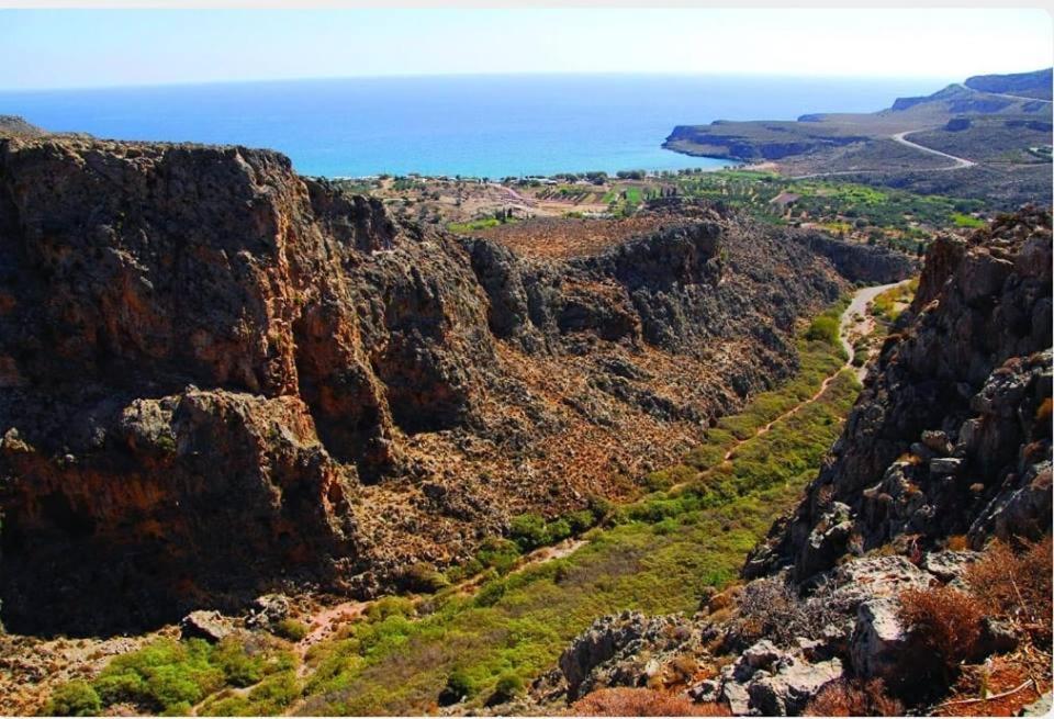 Alkioni Sea View Apartment Káto Zákros Εξωτερικό φωτογραφία
