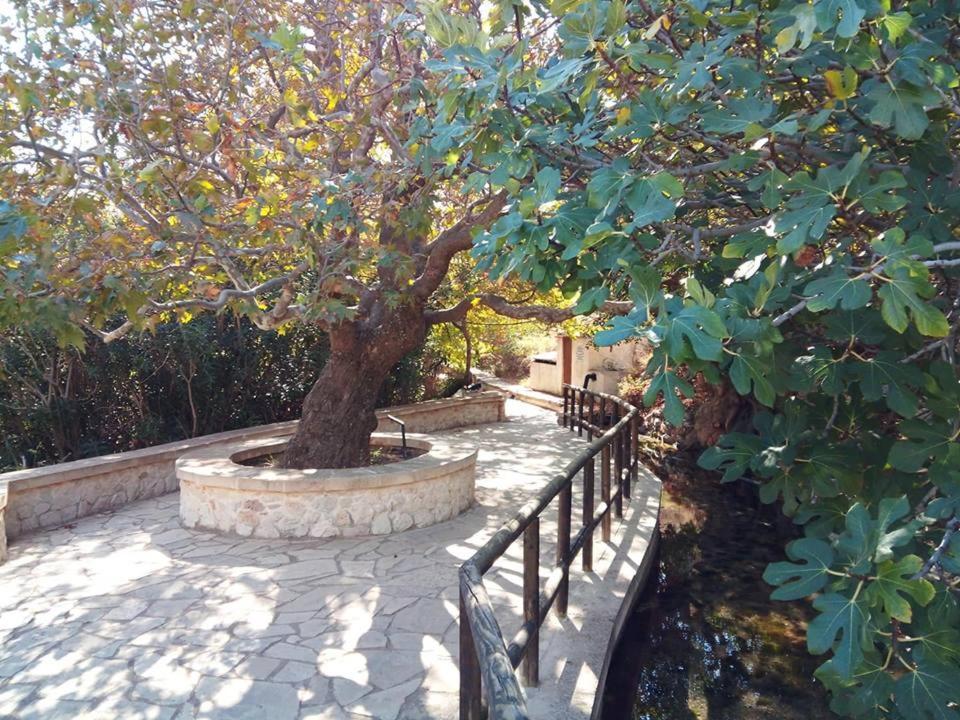 Alkioni Sea View Apartment Káto Zákros Εξωτερικό φωτογραφία