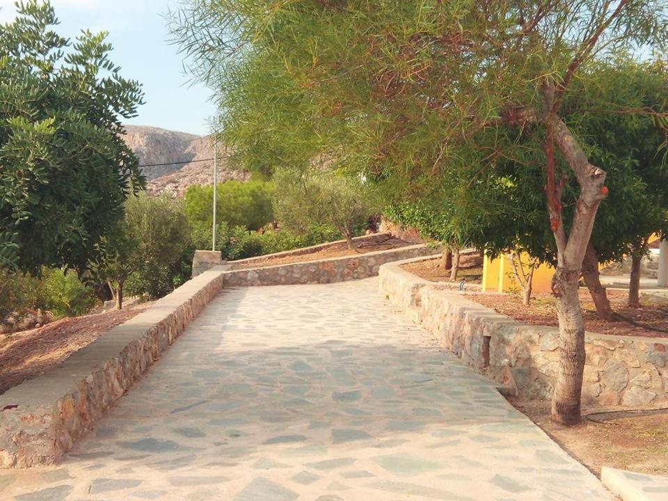 Alkioni Sea View Apartment Káto Zákros Εξωτερικό φωτογραφία