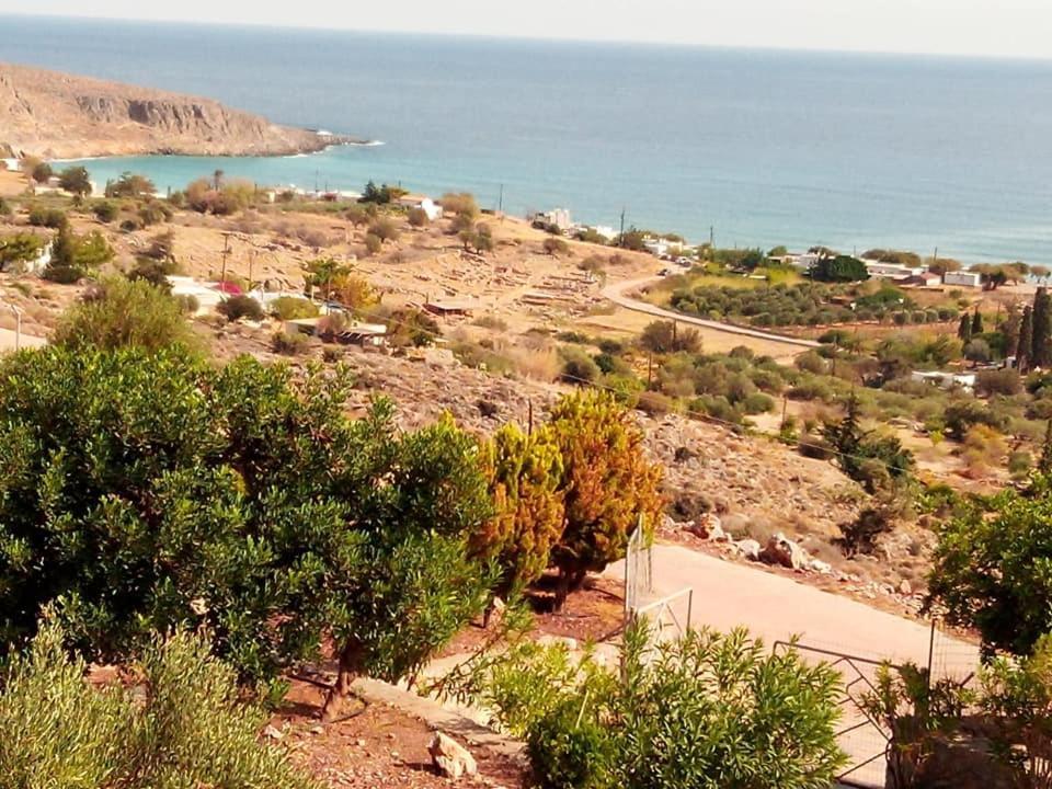Alkioni Sea View Apartment Káto Zákros Εξωτερικό φωτογραφία