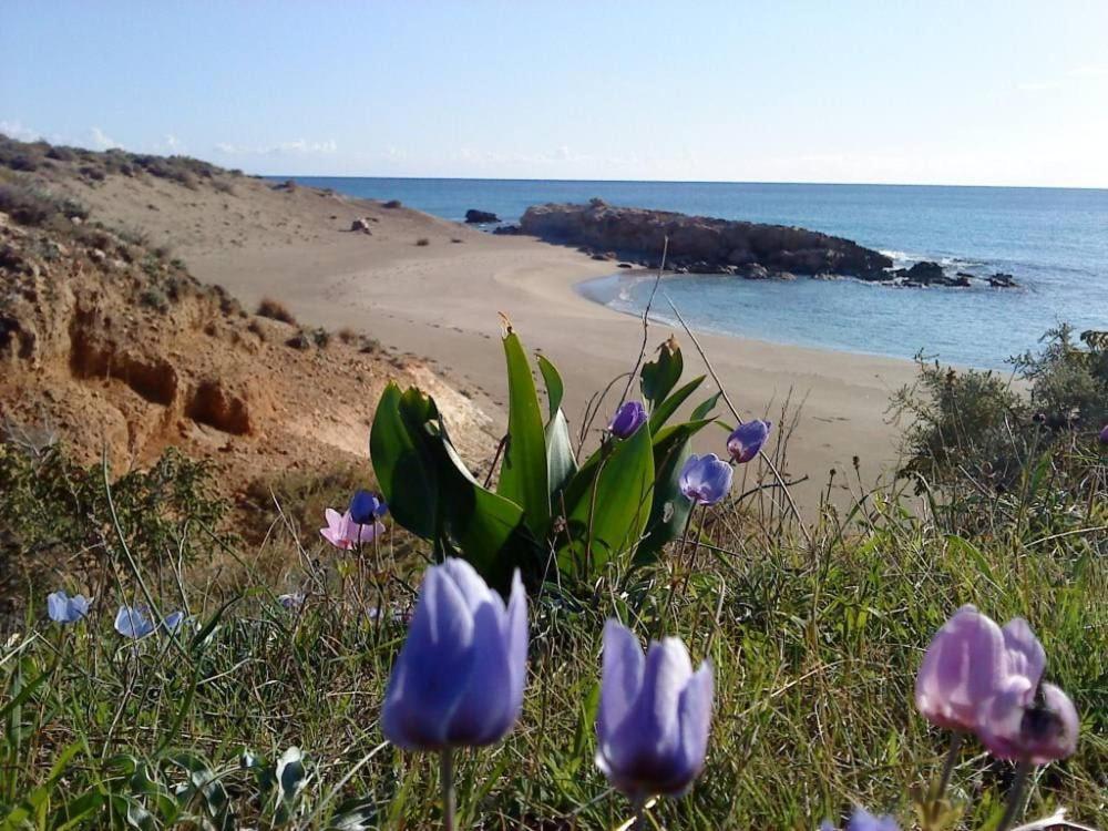 Alkioni Sea View Apartment Káto Zákros Εξωτερικό φωτογραφία