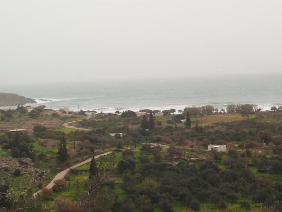 Alkioni Sea View Apartment Káto Zákros Εξωτερικό φωτογραφία
