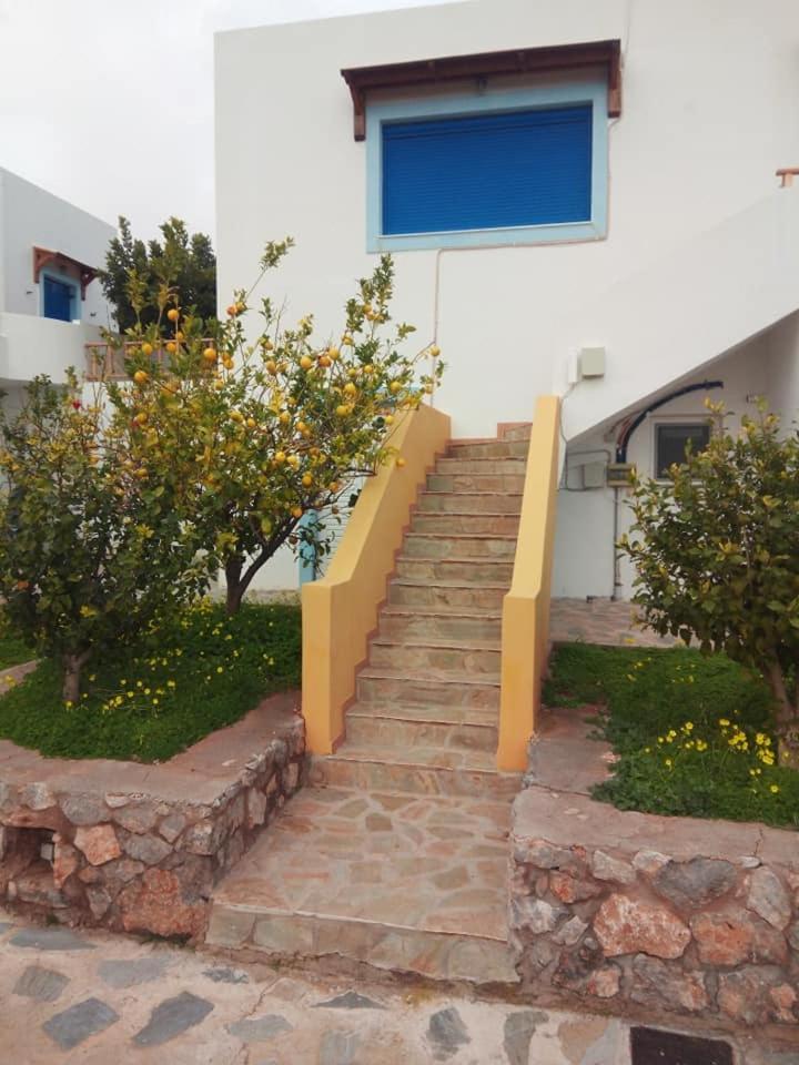 Alkioni Sea View Apartment Káto Zákros Εξωτερικό φωτογραφία