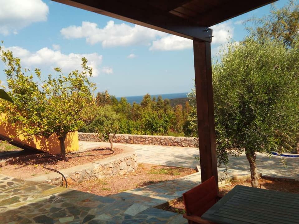 Alkioni Sea View Apartment Káto Zákros Εξωτερικό φωτογραφία