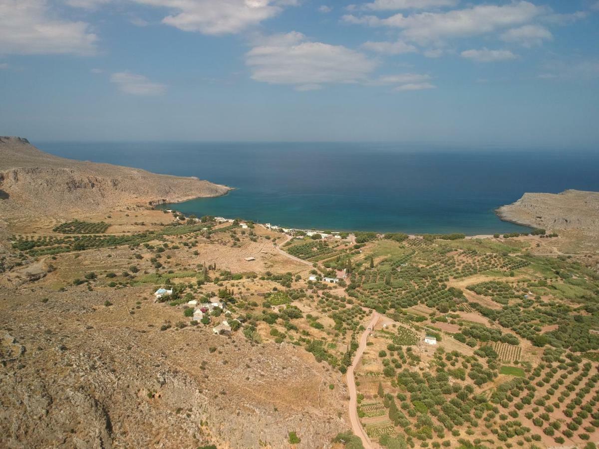 Alkioni Sea View Apartment Káto Zákros Εξωτερικό φωτογραφία