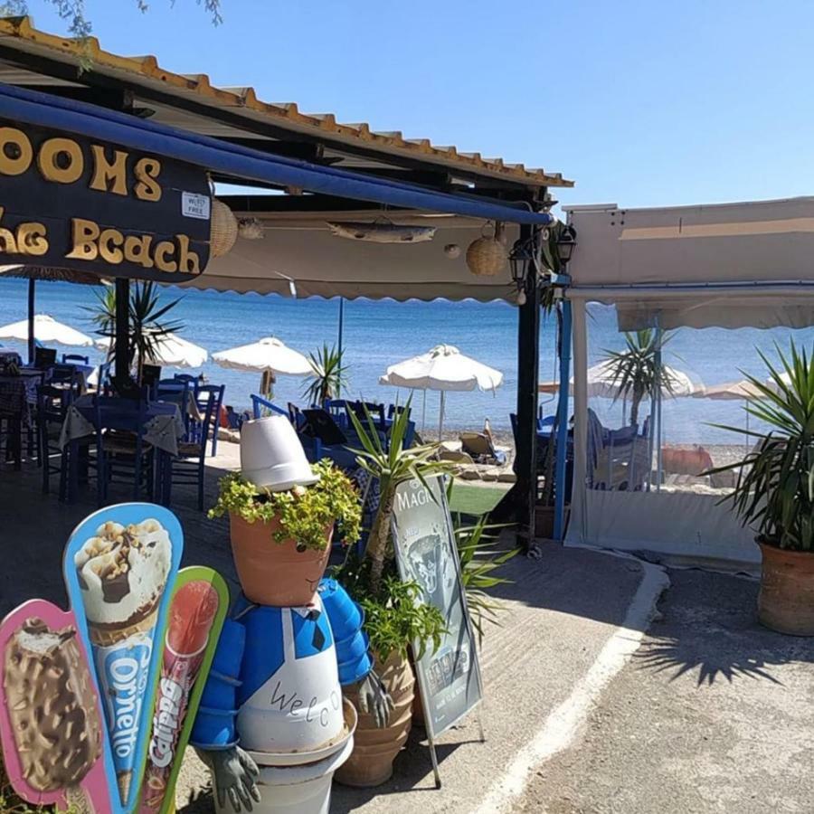 Alkioni Sea View Apartment Káto Zákros Εξωτερικό φωτογραφία