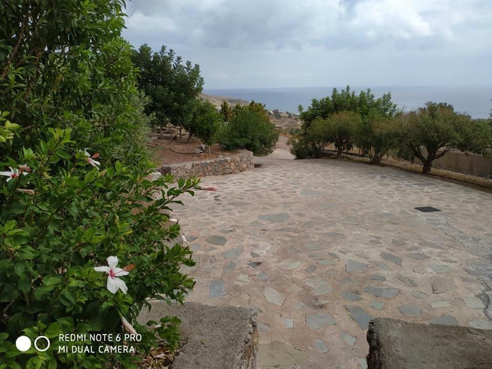 Alkioni Sea View Apartment Káto Zákros Εξωτερικό φωτογραφία
